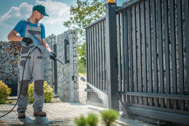 Best Driveway Pressure Washing  in Lake Nacimiento, CA